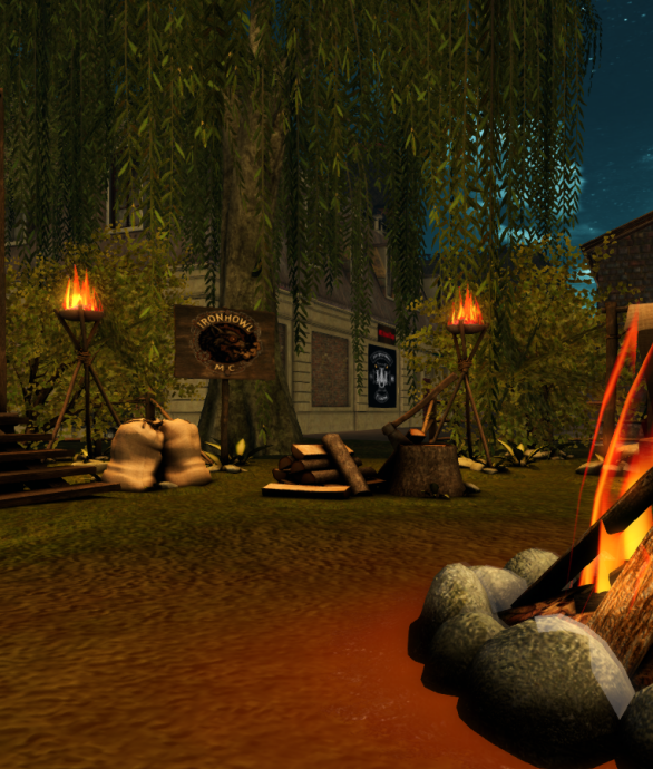 Snapshot_019crop